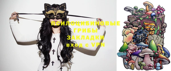 стаф Семикаракорск