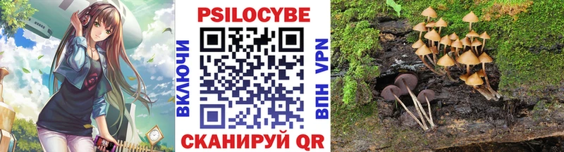 darknet какой сайт  Благодарный  Псилоцибиновые грибы Psilocybine cubensis 