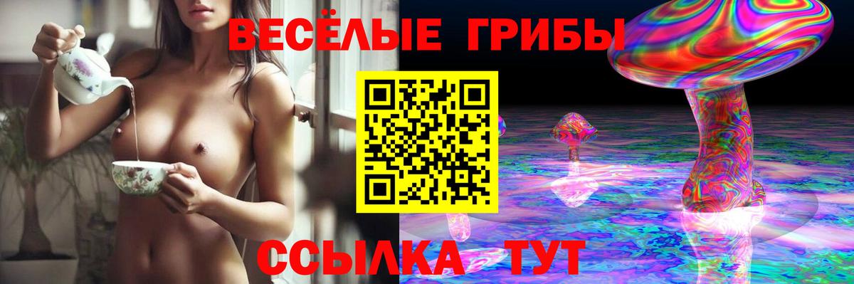 Галлюциногенные грибы Cubensis Благодарный