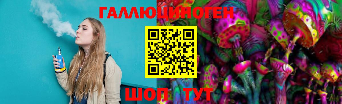 Псилоцибиновые грибы Psilocybe  Вход с VPN  Благодарный 