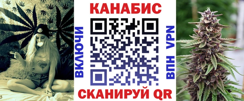 Конопля сатива  где найти   Благодарный 
